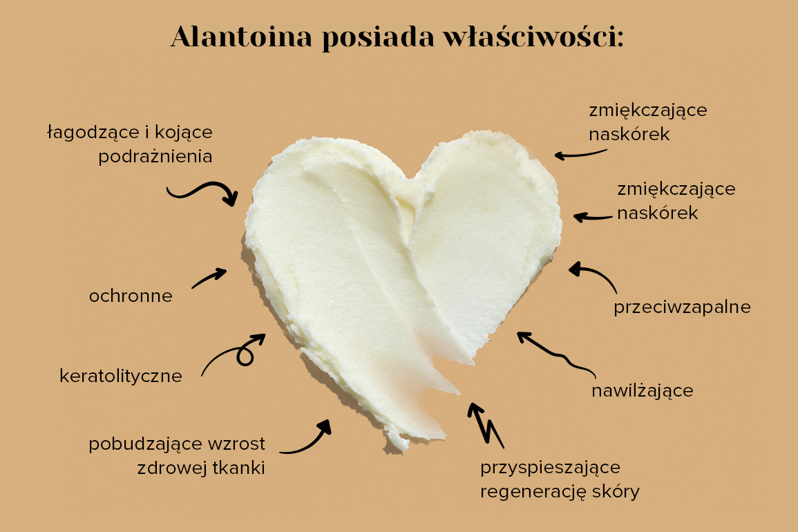 właściwości alantoiny