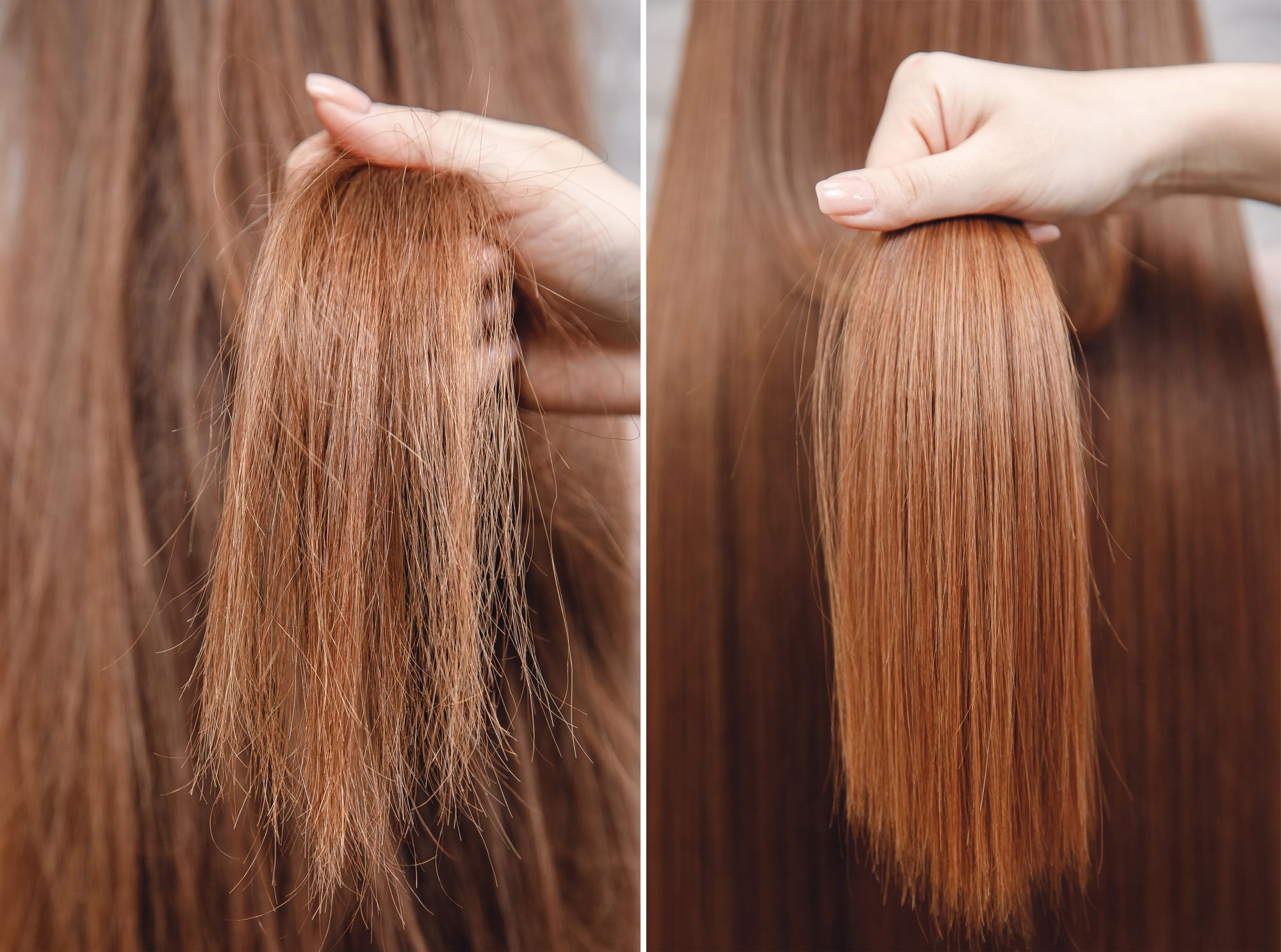 włosy przed i po zabiegu złotymi proteinami