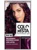 L'Oreal – Paris Colorista Permanent Gel trwała farba do włosów #darkpurple (1 szt.)