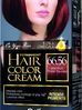 Delia Cosmetics Cameleo HCC farba do każdego typu włosów permanentna omega+ nr 66.56 wild plum 60 ml