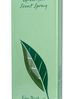 Elizabeth Arden Green Tea woda perfumowana damska 100 ml