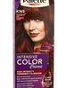 Palette Intensive Color Creme krem do każdego typu włosów koloryzujący nr KN 5 truskawkowy brąz 50 ml