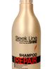 Stapiz Sleek Line Repair szampon do włosów 300 ml