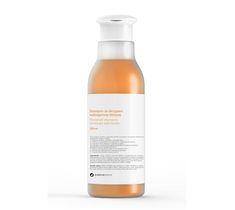 Botanicapharma – Horsetail Enriched With Biotin Shampoo szampon ze skrzypem wzbogacony biotyną (250 ml)