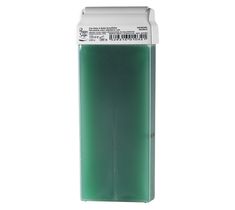 Peggy Sage Fat-Soluble Warm Depilatory Wax Vert – wkład wosku do depilacji ciała Zielony (100 ml)