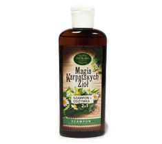 Delicate Organic Magia Karpackich Ziół szampon ułatwiający rozczesywanie włosów 250g