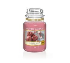 Yankee Candle – Świeca zapachowa duży słój Roseberry Sorbet (623 g)