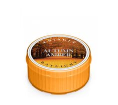 Kringle Candle – Daylight świeczka zapachowa Autumn Amber (35 g)