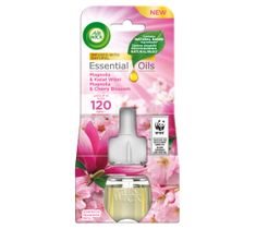Air Wick Essential Oils wkład do elektrycznego odświeżacza Magnolia i Kwiat Wiśni 19ml
