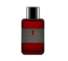 Antonio Banderas The Secret Temptation woda toaletowa spray 200ml