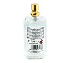 Płyn antybakteryjny do rąk w spray'u – bez użycia wody (30 ml)