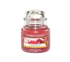 Yankee Candle Świeca zapachowa mały słój Cranberry Ice 104g