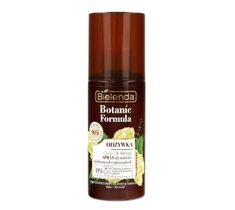 Bielenda Botanic Formula Skrzyp + Chmiel odżywka spray do włosów farbowanych i zniszczonych (150 ml)