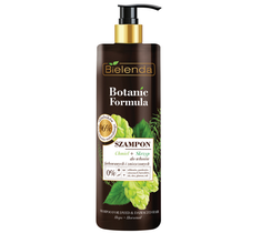 Bielenda Botanic Formula szampon skrzyp i chmiel do włosów farbowanych i zniszczonych (400 ml)