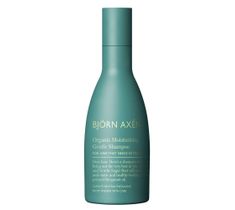 Björn Axén Organic Moisturizing Gentle Shampoo delikatny szampon nawilżający do włosów 250ml