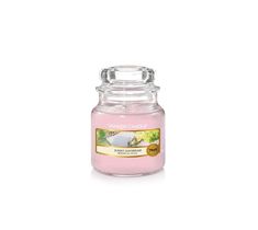 Yankee Candle – Świeca zapachowa mały słój Sunny Daydream (104 g)