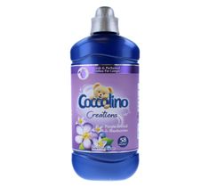 Coccolino Creations płyn do płukania tkanin Purple Orchid & Blueberries (1450 ml)
