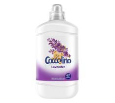 Coccolino Lavender płyn do płukania tkanin 1680ml
