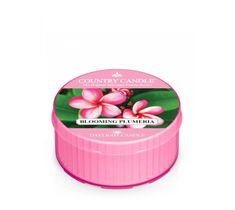 Country Candle Daylight świeczka zapachowa - Blooming Plumeria (35 g)