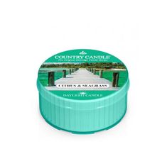 Country Candle Daylight świeczka zapachowa Citrus & Seagrass (35 g)