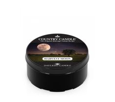 Country Candle Daylight świeczka zapachowa Harvest Moon (35 g)