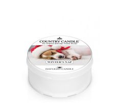 Country Candle Daylight świeczka zapachowa Winter's Nap (35 g)