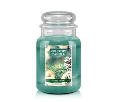 Country Candle duża świeca zapachowa z dwoma knotami - Tinsel Thyme (680 g)