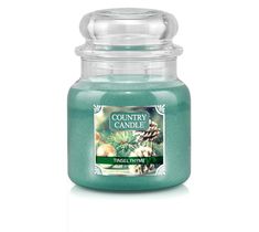 Country Candle średnia świeca zapachowa z dwoma knotami - Tinsel Thyme (453 g)
