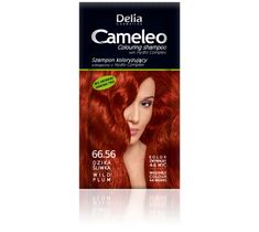 Delia Cosmetics Cameleo szampon do włosów koloryzujący 66.56 dzika śliwka 40 ml
