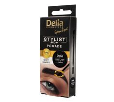 Delia Cosmetics Eyebrow Expert pomada do brwi Grafit (1 szt.)