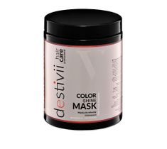 Destivii Color Shine Mask maska do włosów farbowanych (1000 ml)