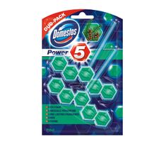 Domestos Pine DUO Kostka WC Power 5 koszyk 2 x 55 g