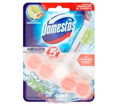 Domestos Power 5 kostka toaletowa lime&ceadr 55 g