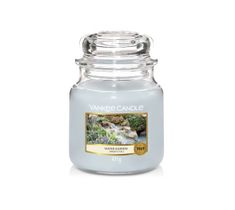 Yankee Candle – Świeca zapachowa średni słój Water Garden (411 g)