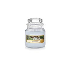 Yankee Candle – Świeca zapachowa mały słój Water Garden (104 g)