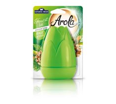 General Fresh Arola Spray odświeżający Szyszka - Leśny (40 ml)