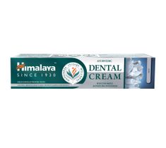 Himalaya Ayurvedic Dental Cream Toothpaste ajurwedyjska ziołowa pasta do zębów z solą (100 g)