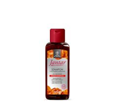 Jantar szampon do włosów zniszczonych travel size (100 ml)