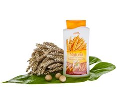 Joanna Naturia szampon do włosów suchych i zniszczonych pszenica 500 ml