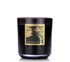 Kringle Candle Black Line Collection świeca z dwoma knotami Enchanted (340 g)