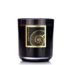 Kringle Candle Black Line Collection świeca z dwoma knotami Nautilus (340 g)