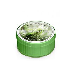 Kringle Candle Daylight świeczka zapachowa - Balsam Fir (35 g)