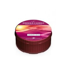Kringle Candle Daylight świeczka zapachowa - Desert Oud (42 g)