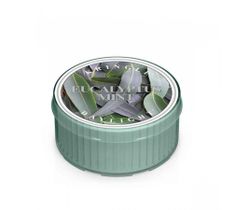Kringle Candle Daylight świeczka zapachowa - Eucalyptus Mint (35 g)