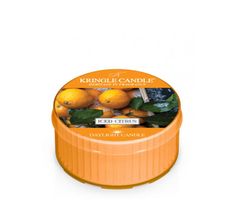 Kringle Candle Daylight świeczka zapachowa - Iced Citrus (42 g)