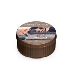 Kringle Candle Daylight świeczka zapachowa - Knitted Cashmere (42 g)