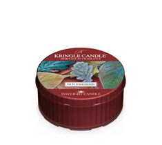 Kringle Candle Daylight świeczka zapachowa - Novembrrr (42 g)