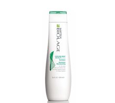 Matrix Biolage Scalpsync Cooling Mint Shampoo odświeżający szampon do włosów 250ml