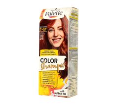 Palette Color Shampoo szampon do każdego typu włosów koloryzujący nr 218 lśniący bursztyn 50 ml