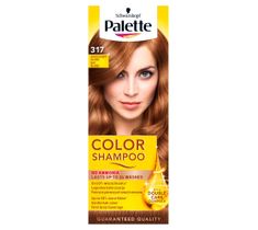 Palette Color Shampoo szampon do każdego typu włosów koloryzujący nr 317 orzechowy blond 50 ml